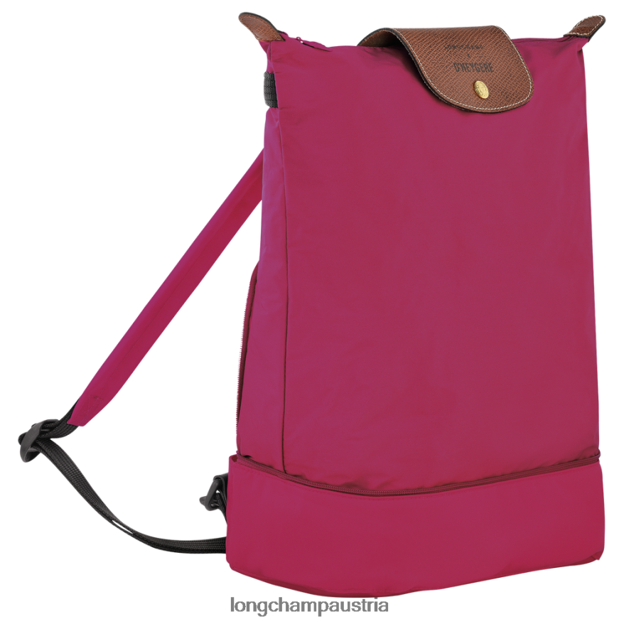Taschen bei Longchamp X D'heygere Frauen Umhängetasche/Rucksack Rosa 2008BJ325